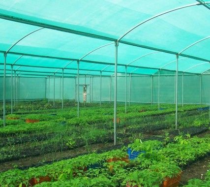 china shade net, greenhouse shade net, agricultural shade nets supplier & manufacturer