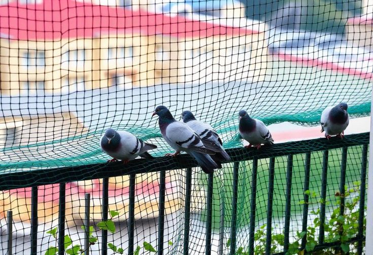 effortless pigeon control strong and reliable pigeon nets for balconies (1)