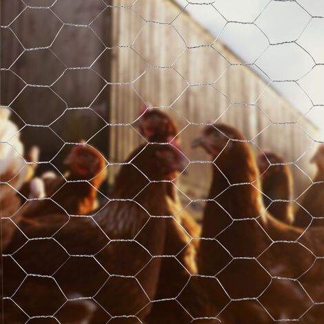 fence panels galvanised iron wire net animal cage protective mesh, grid 2 5cm 90x600cm