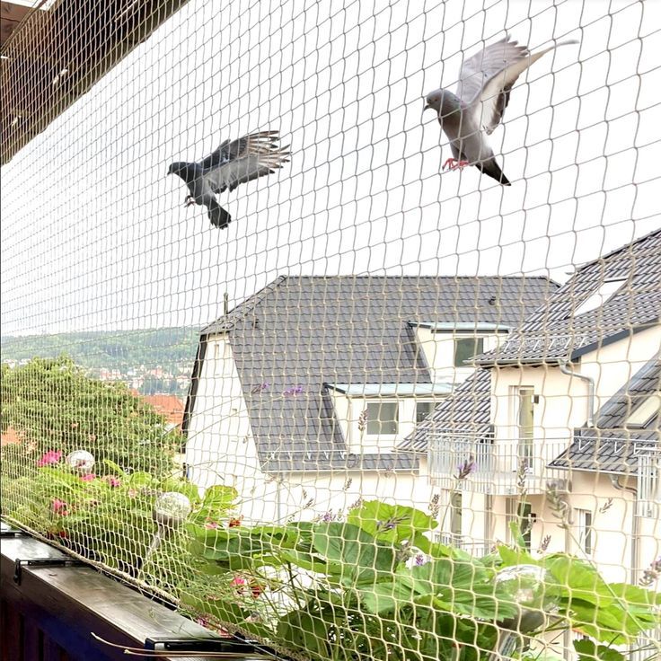 high quality anti bird net for balcony – safe & effective solution (1)