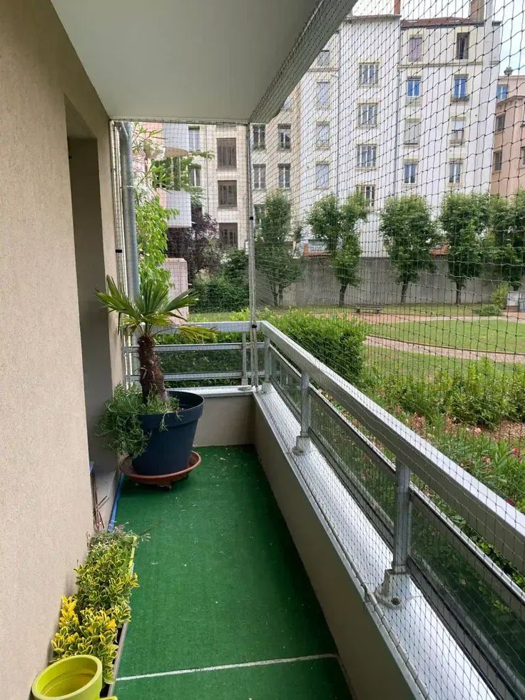 la solution sécurité pour votre chat filet et protection pour chat