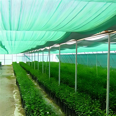 untitled (400 x 400 px)